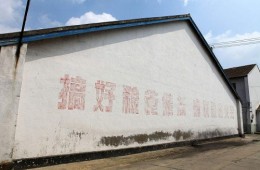 方舟粮库舟山库平房仓9#10#屋面防水维修